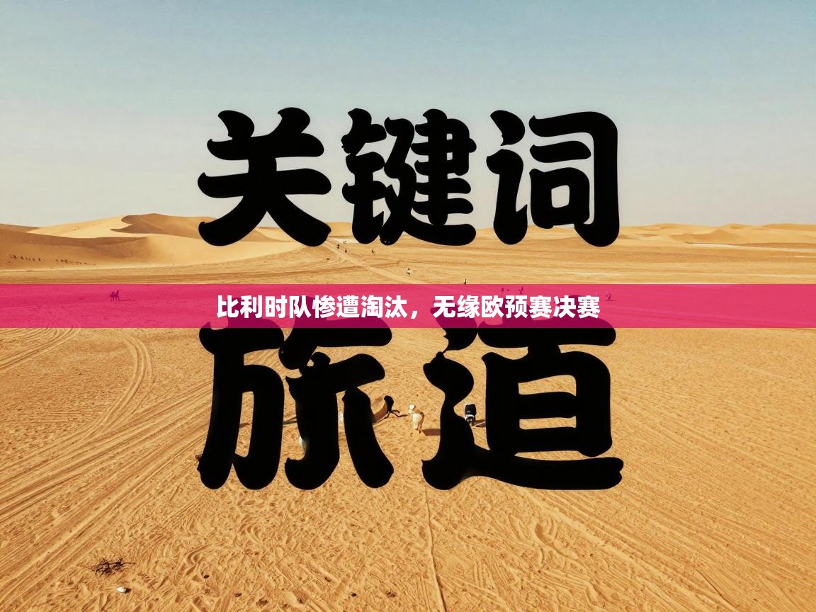 比利时队惨遭淘汰,无缘欧预赛决赛 第2张