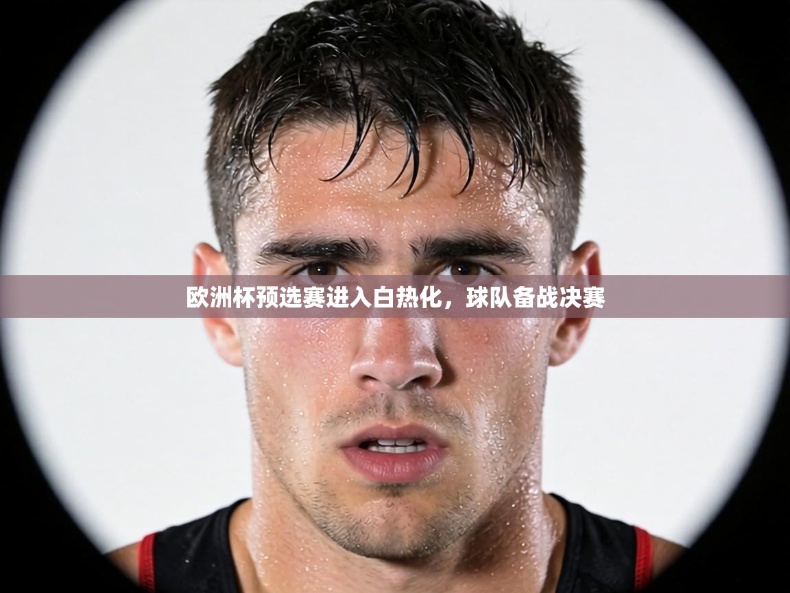 欧洲杯预选赛进入白热化，球队备战决赛  第2张