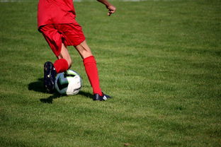 九游官网入口-俱乐部青训体系与职业联赛脱节，俱乐部青训有工资吗