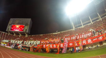 九游体育-场馆设施翻新完成比赛场地改造计划推进，场馆设计方案